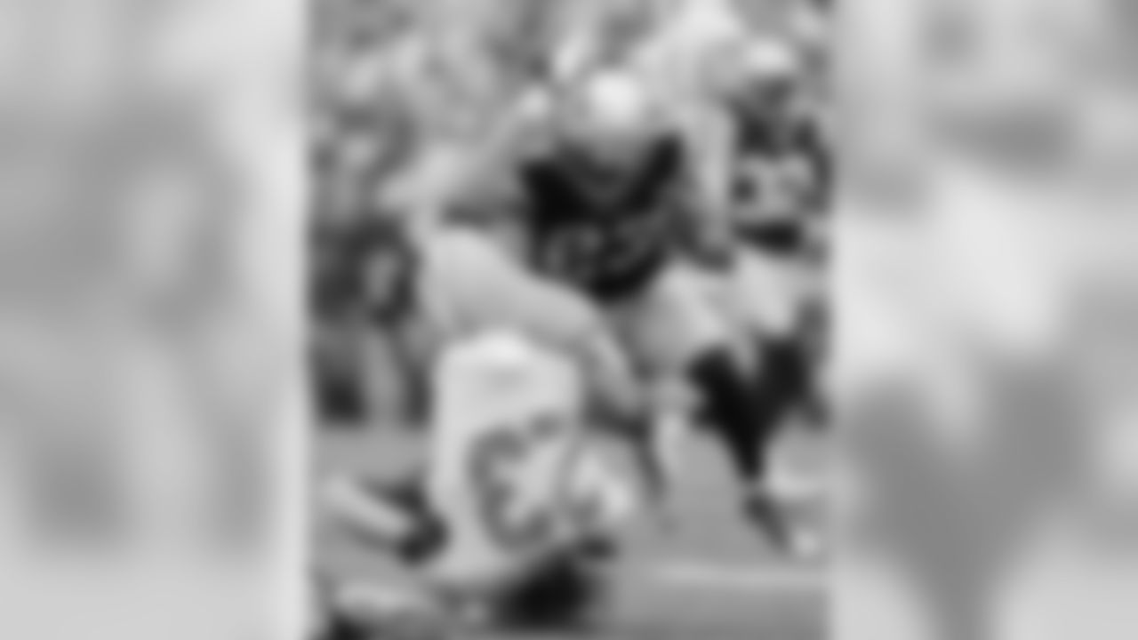 20160918_silverman_dolphins_best0264-watermarked.jpg