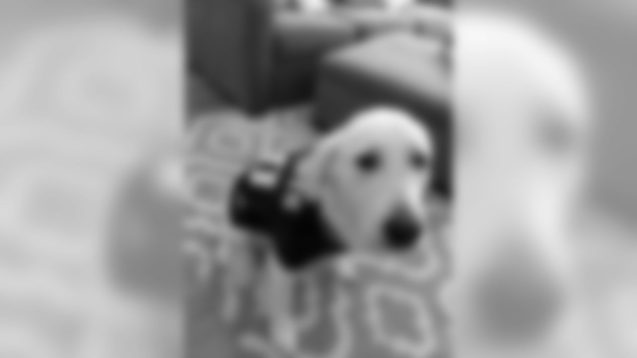 53270_8_3293841781