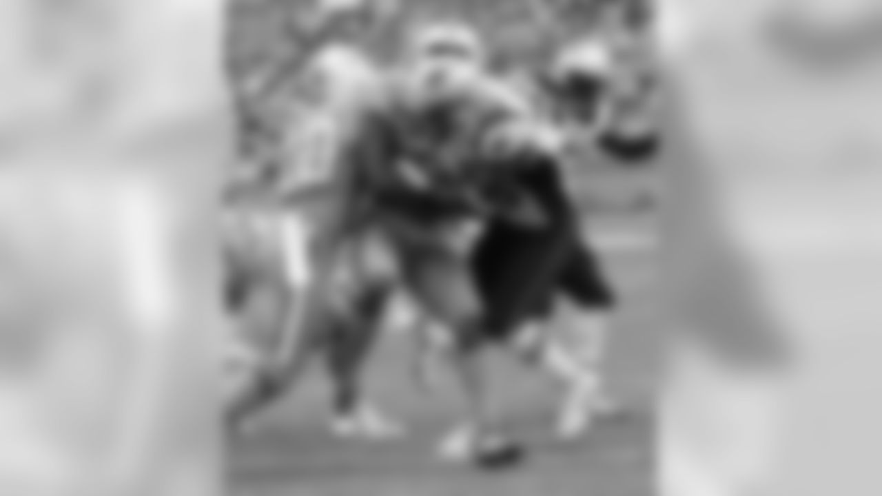 20160104_dsp_dolphins_1000.jpg