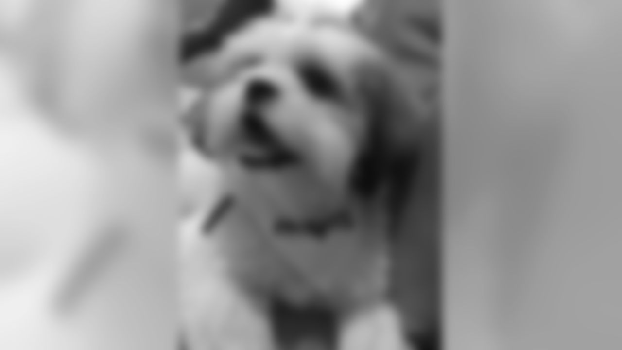 20160930_pet_02.jpg