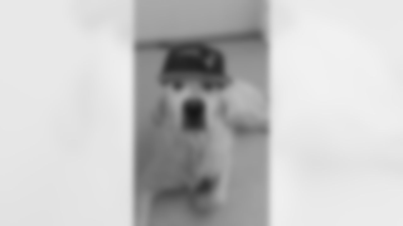 temp1558644_528713630559181_1912081294_n.jpg