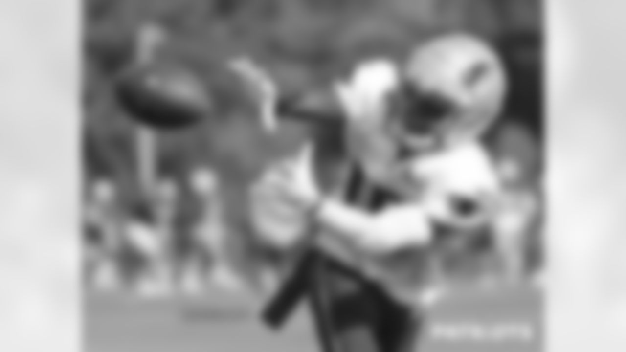 Nelson Agholor