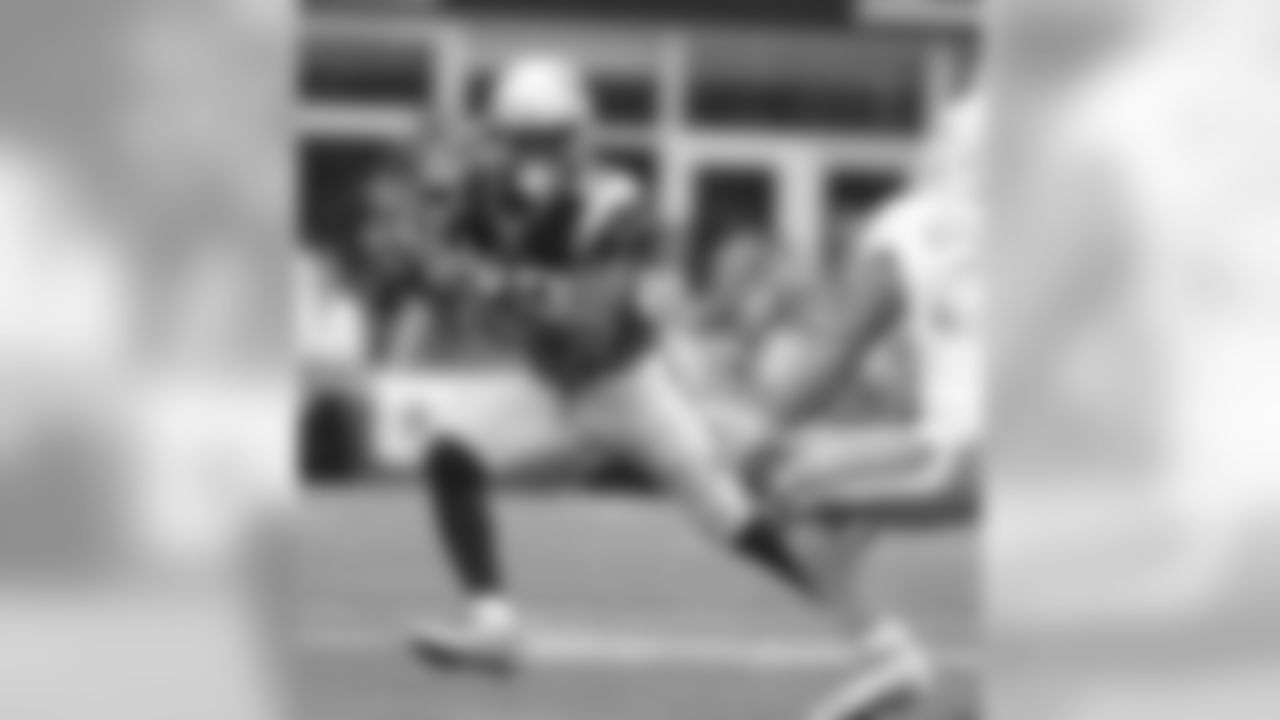 20160918_silverman_dolphins_best0316-watermarked.jpg