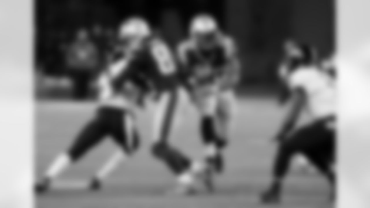 Stevan Ridley running the ball