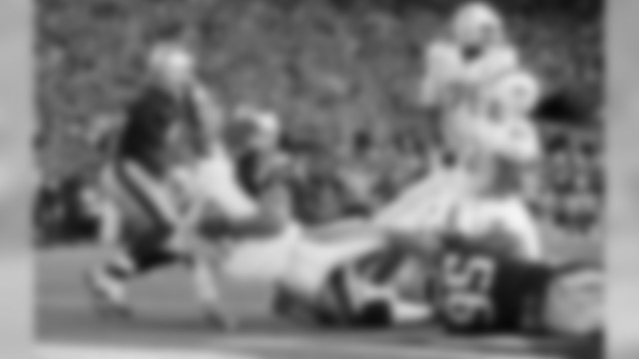 20151029kdn_dolphins_0252.jpg