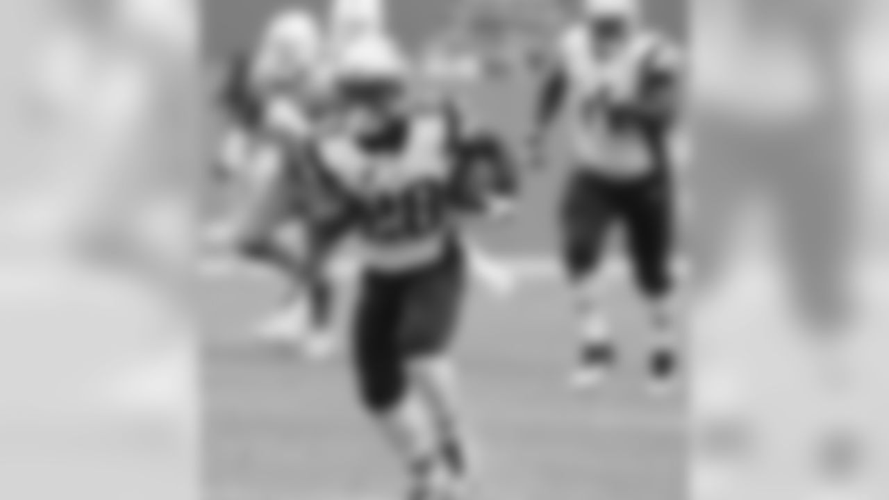 20160104_dsp_dolphins_1024.jpg
