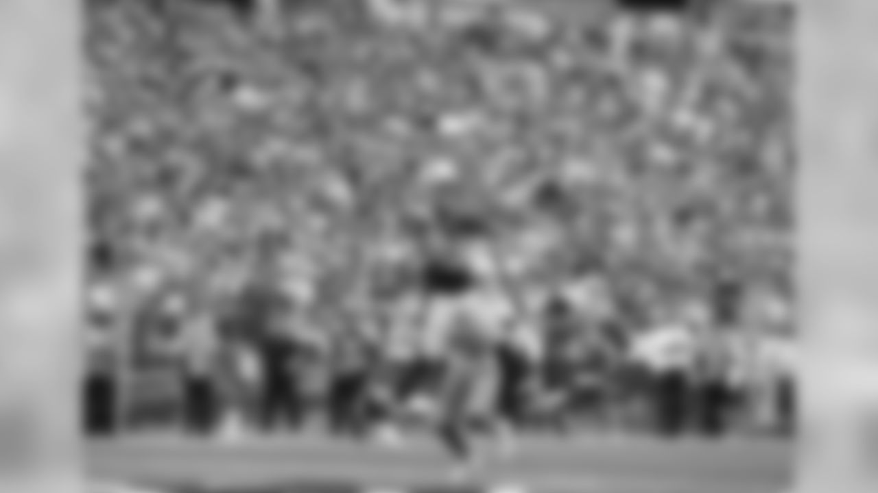 20160918_silverman_dolphins_best0285-watermarked.jpg