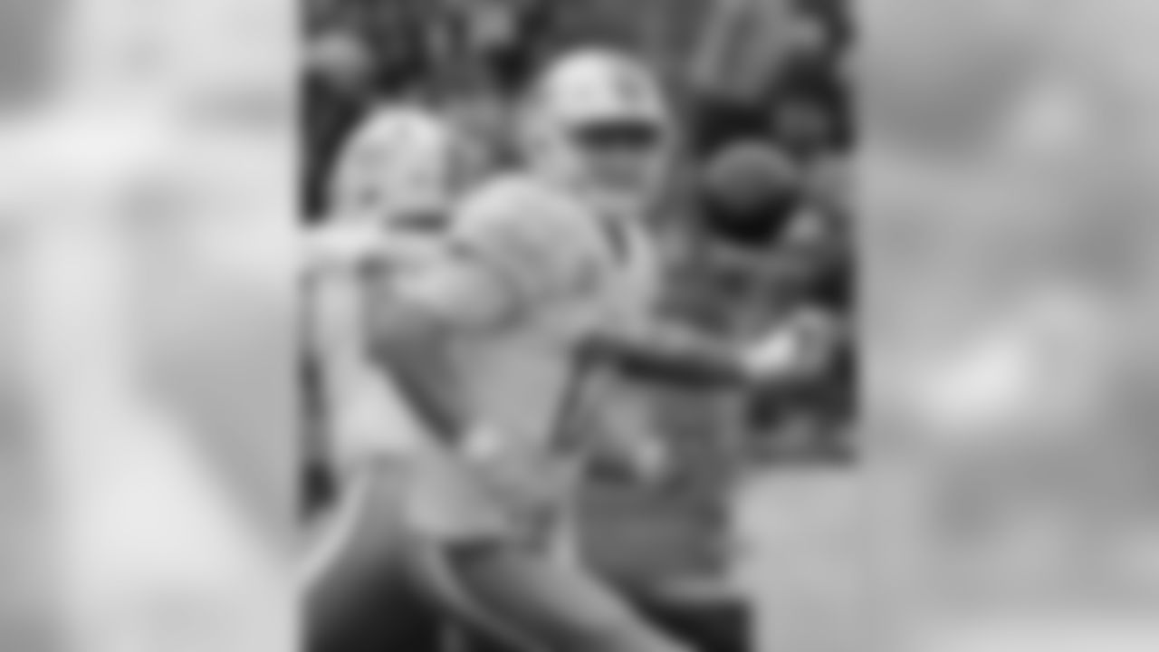20160918_silverman_dolphins_best0260-watermarked.jpg