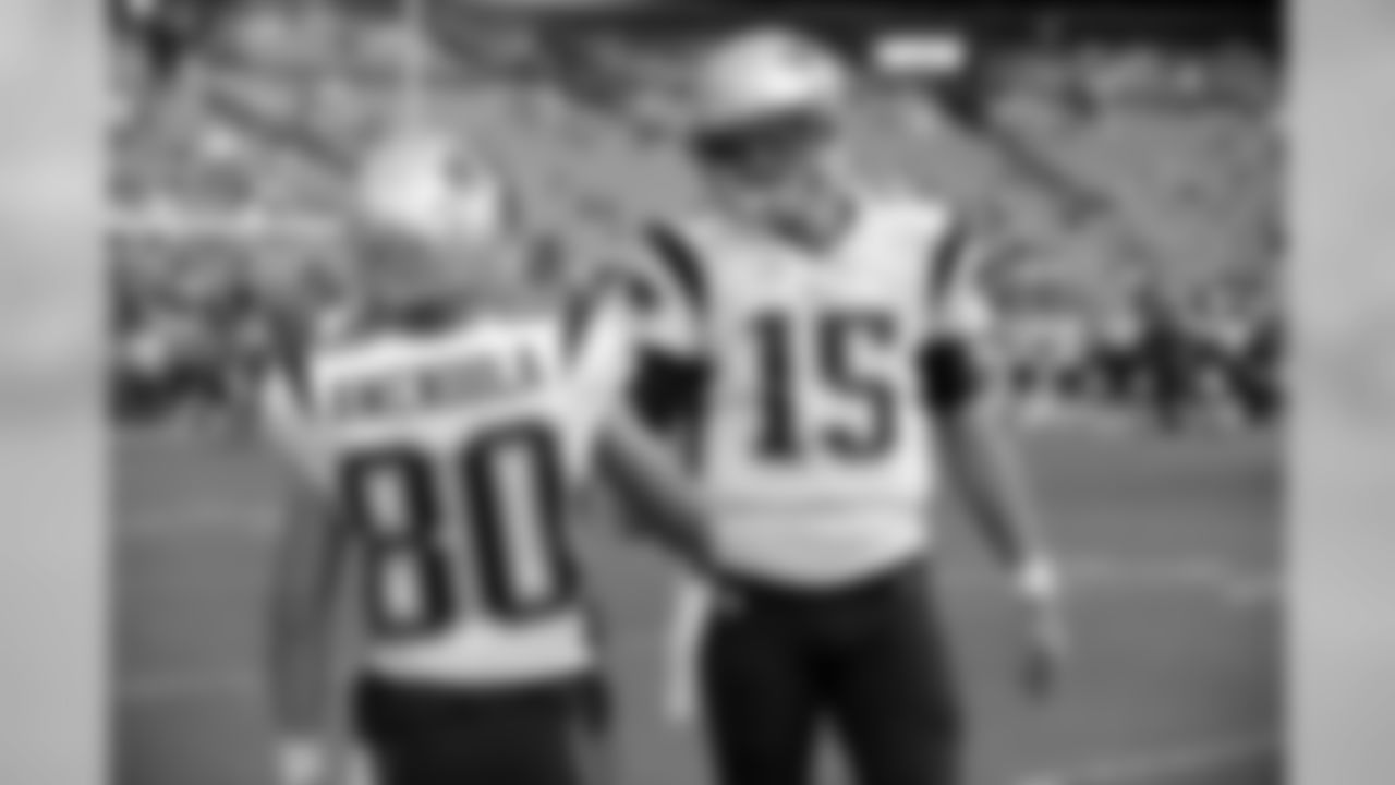Danny Amendola and Ryan Mallett