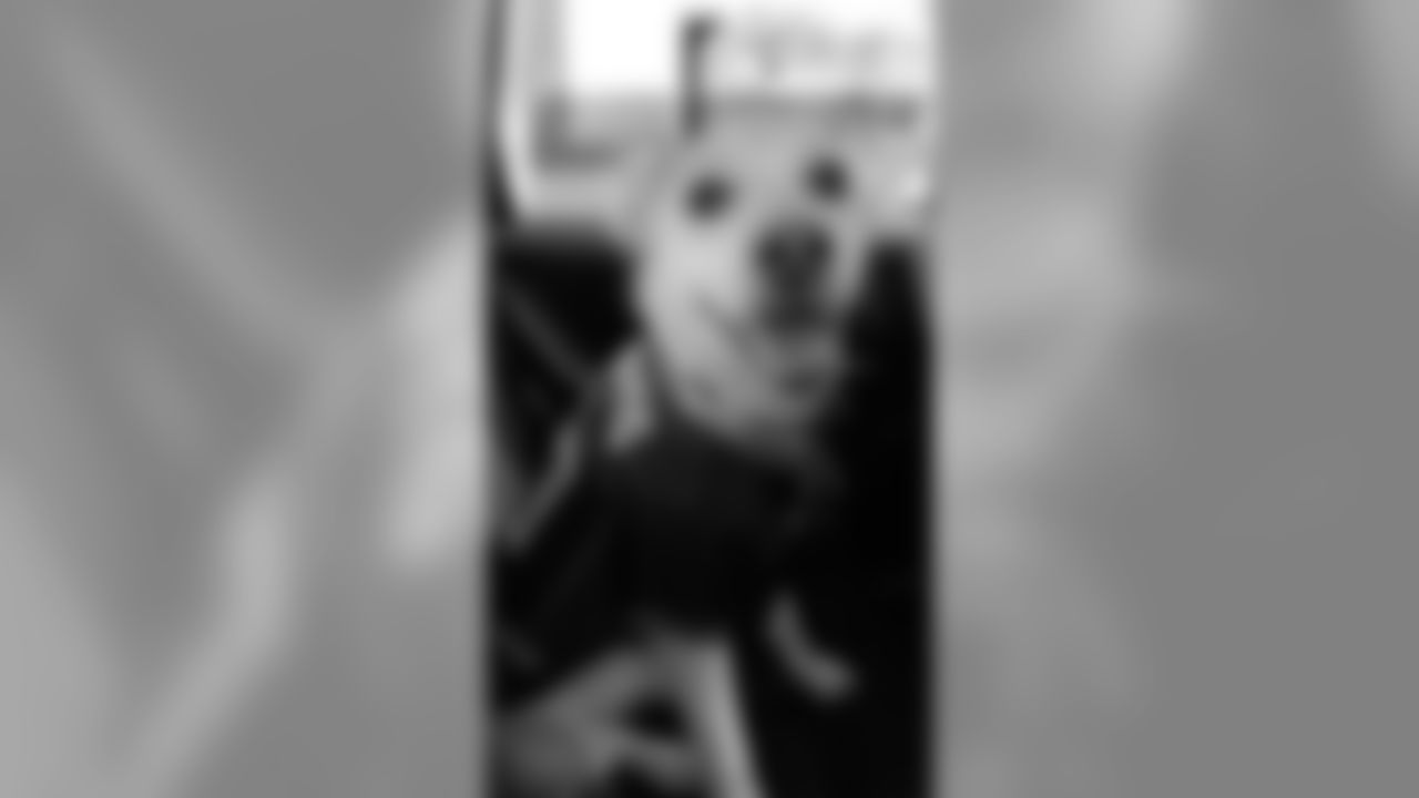 53270_8_1403831746.jpg