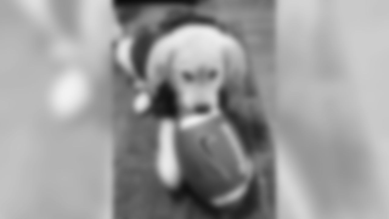 qkbvd9.jpg