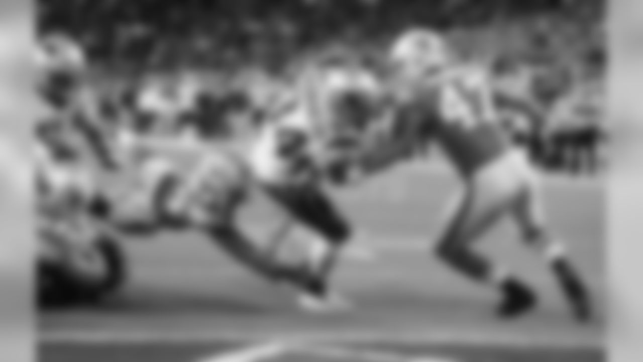 20171211_dolphins_silverman683.jpg