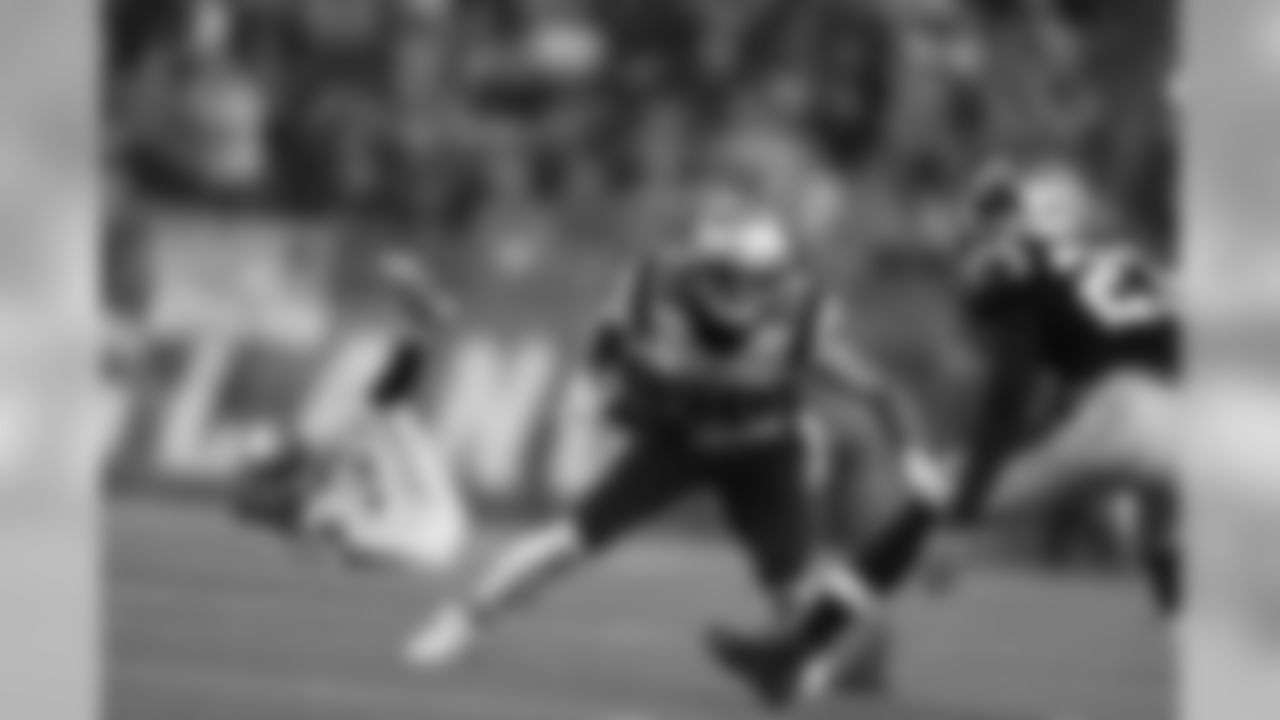 Julian Edelman vs. Carolina Panthers