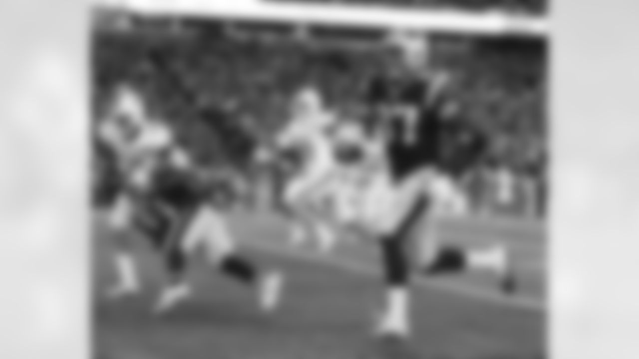 20151029_dsp_dolphins_0489_0.jpg