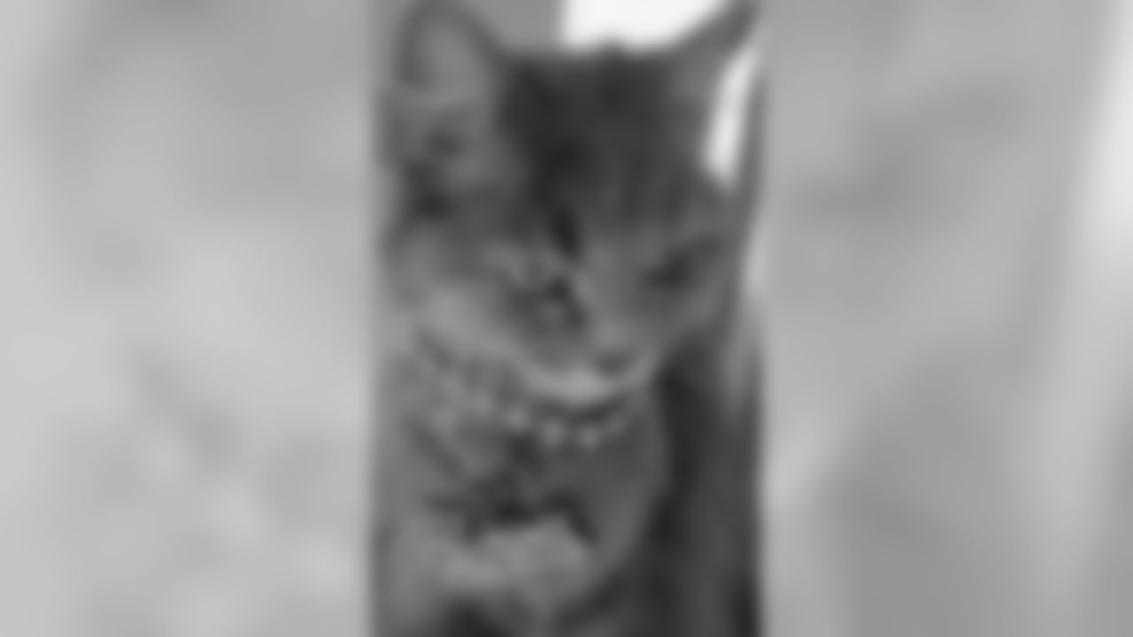53270_8_4080826777.jpg