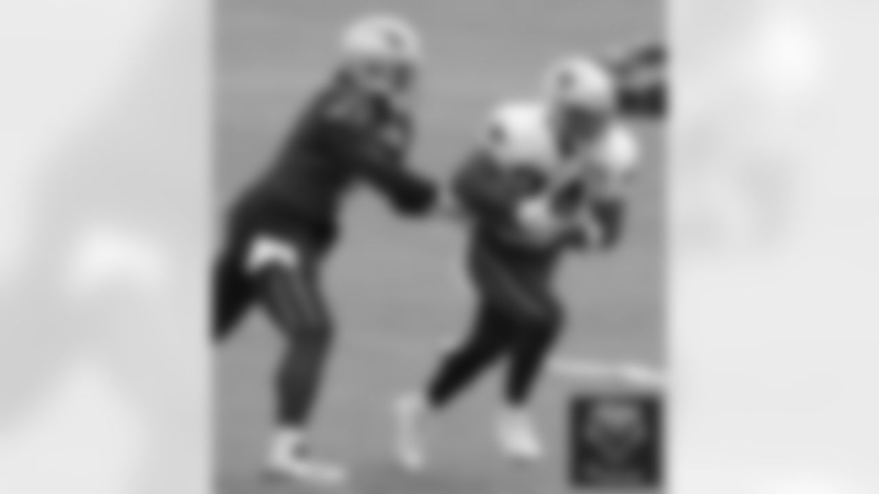 Cam Newton and Rex Burkhead