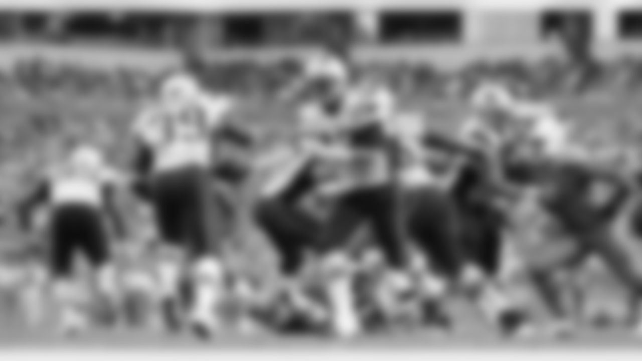 20160104_dsp_dolphins_1004.jpg