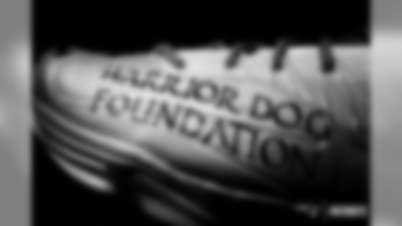 David Andrews - Warrior Dog Foundation.