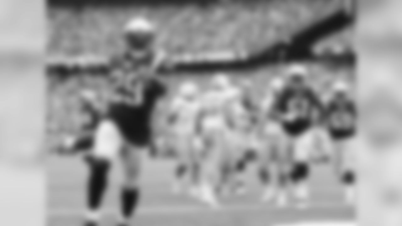 20160918_silverman_dolphins_best0293-watermarked.jpg