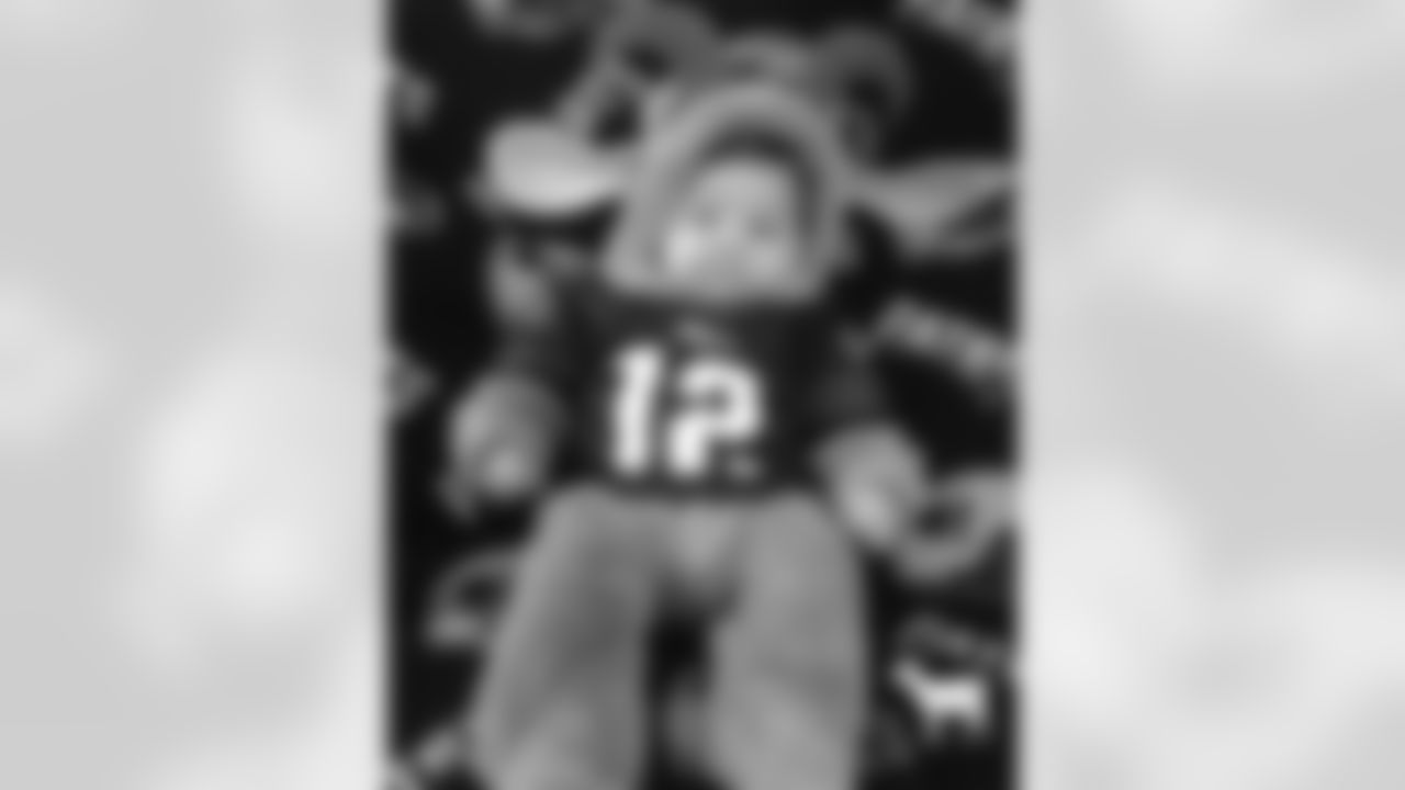 l5pph2_1.jpeg
