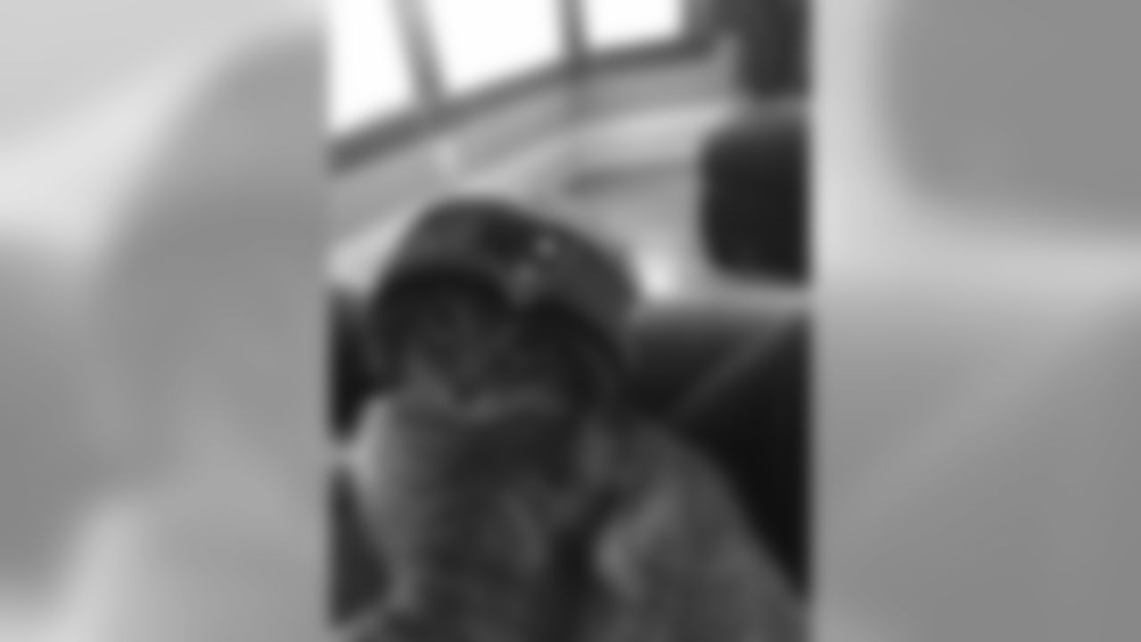 20160930_pet_11.jpg