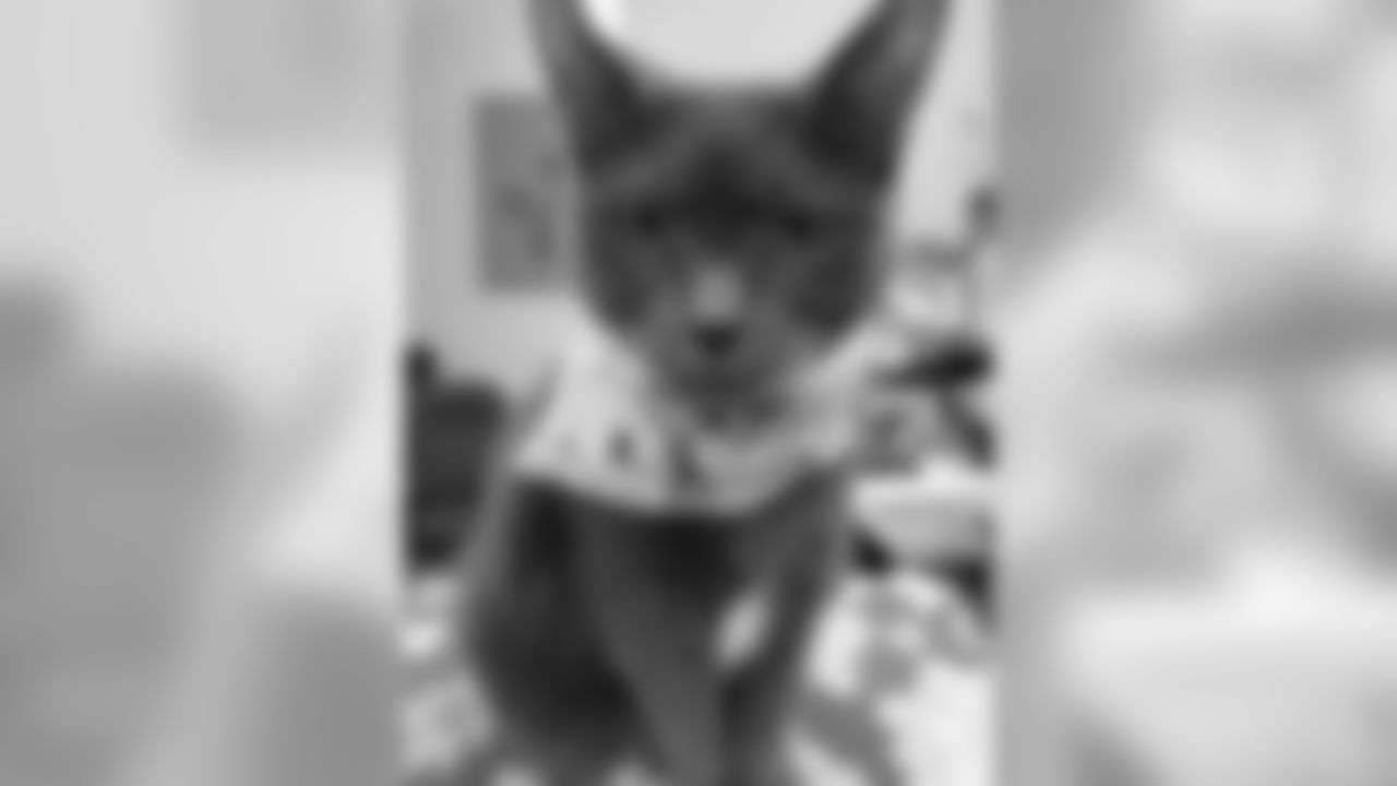 53270_8_3719870209.jpg
