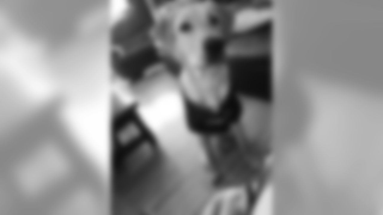 53270_8_310326071.jpg