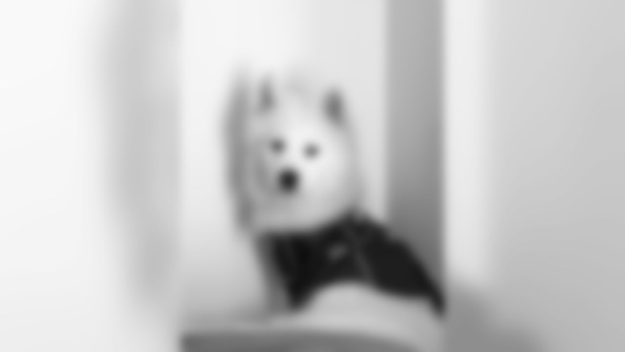 53270_8_2870045674