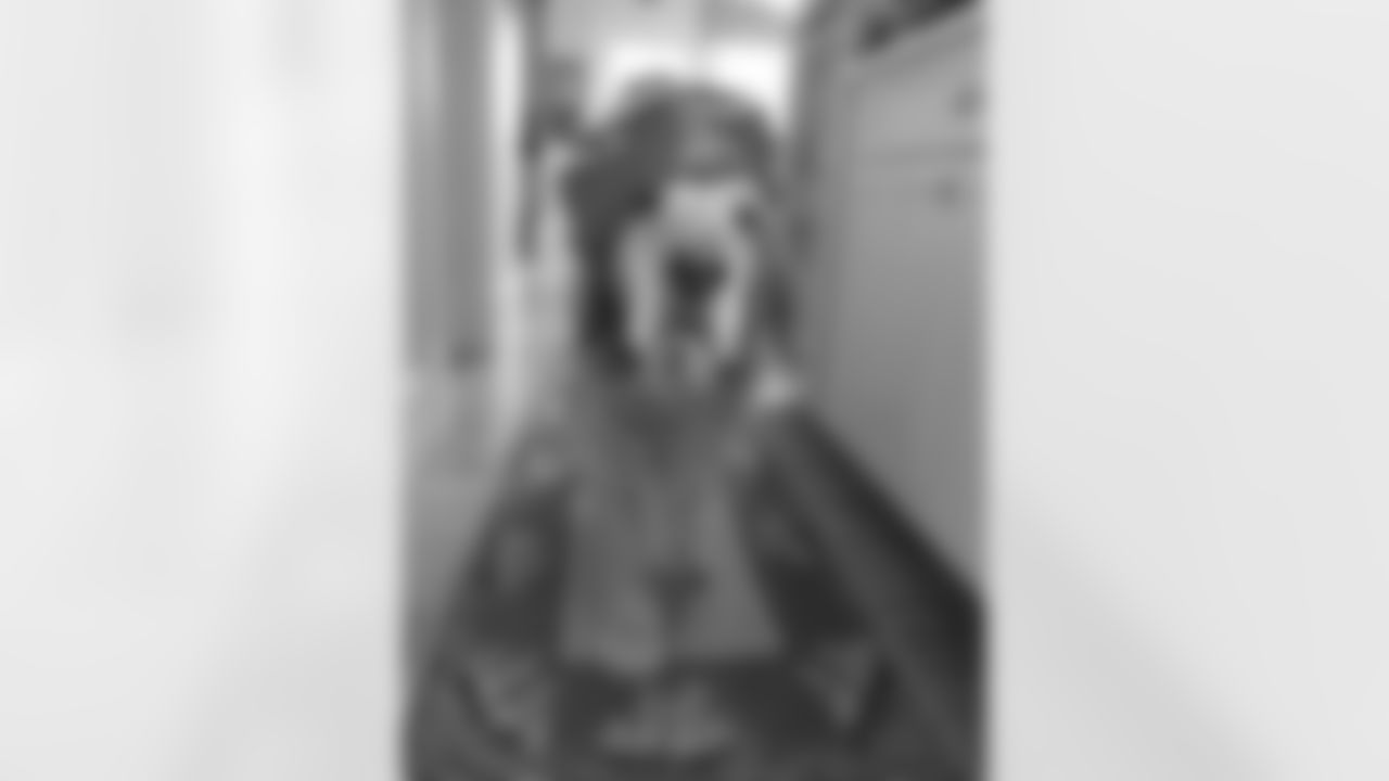 temp1609730_10152167097267899_889026488_n.jpg