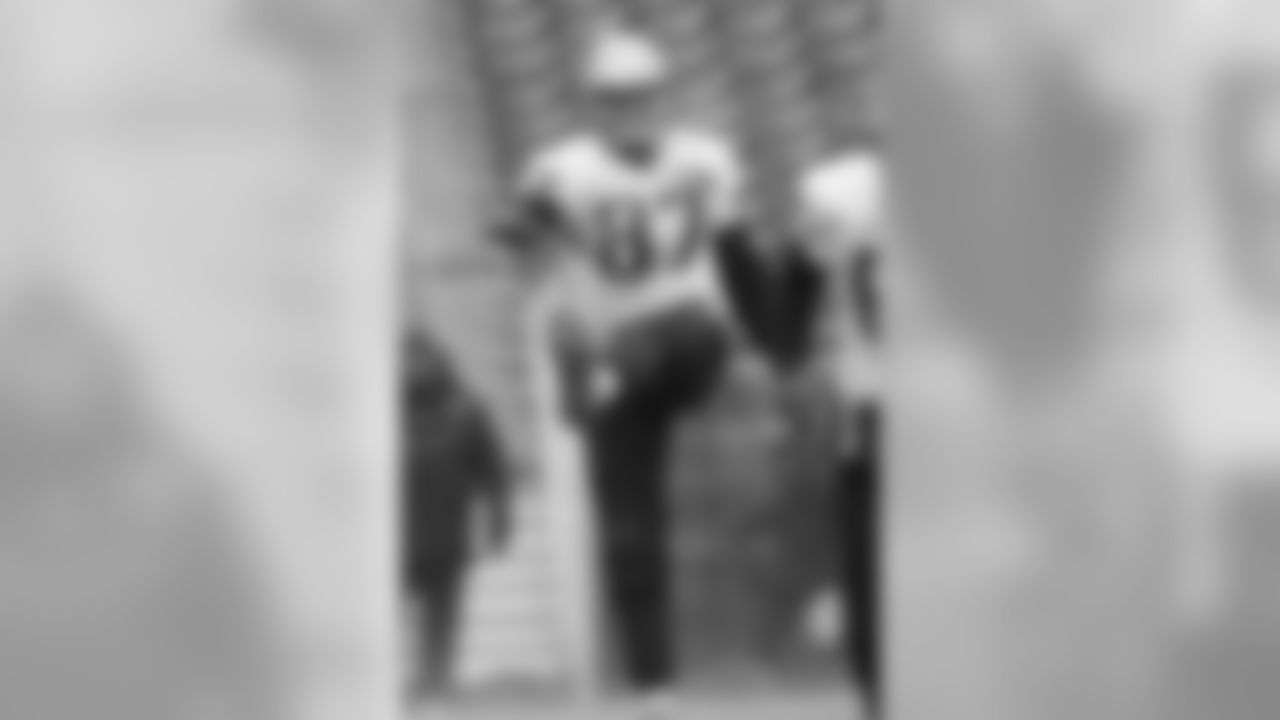 Bill Belichick