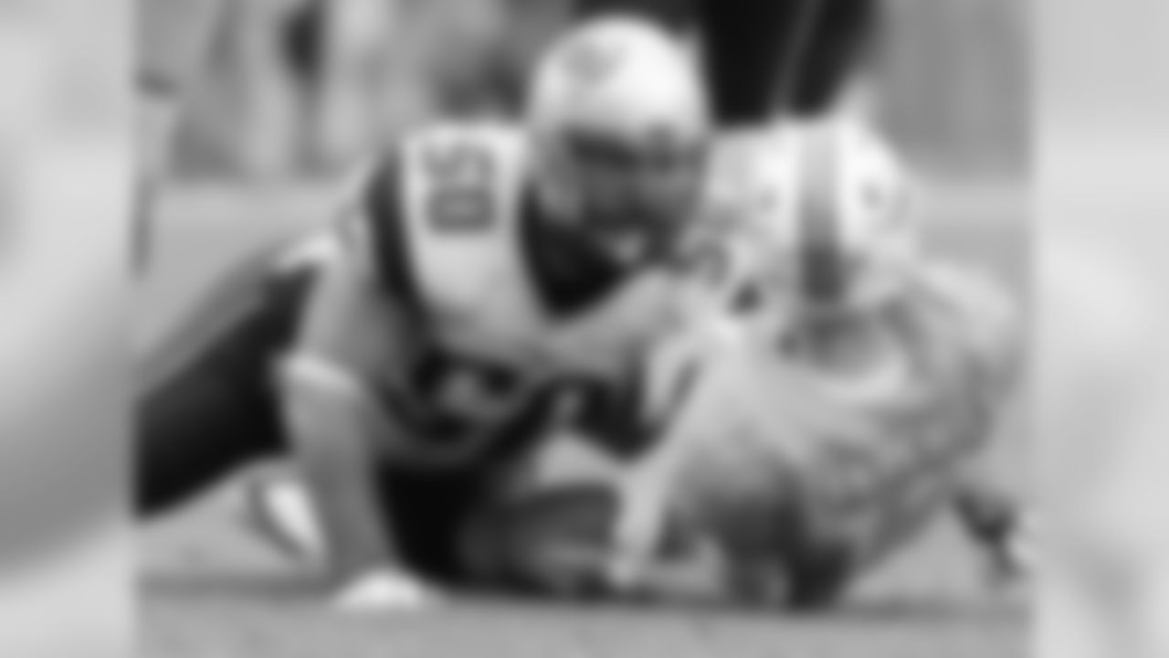 20160104_dsp_dolphins_1029.jpg