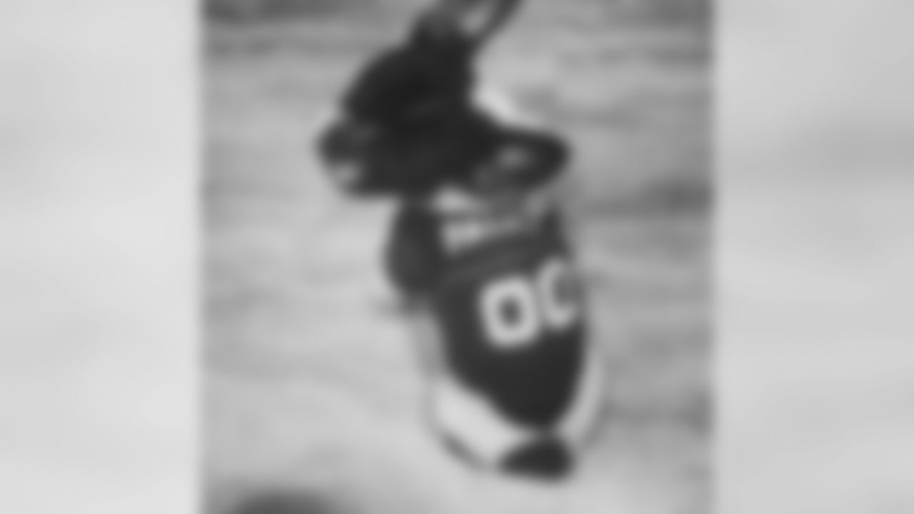 53270_8_324869430.jpg