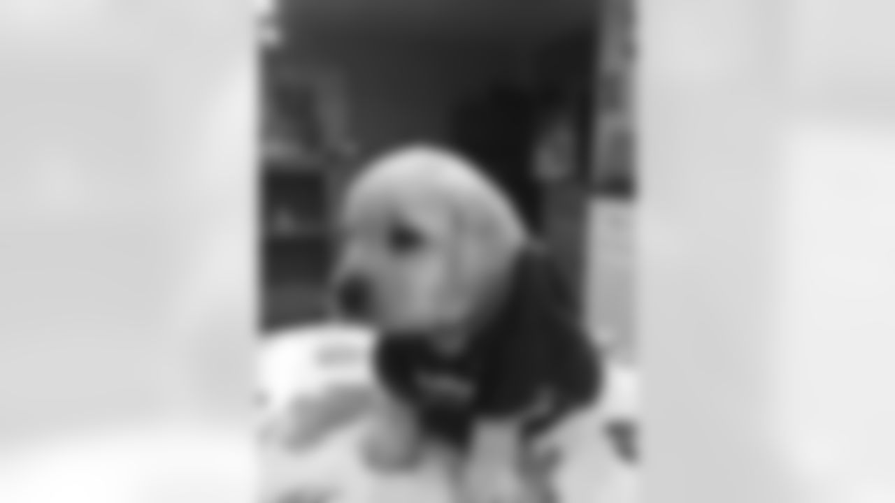 20160930_pet_21.jpg