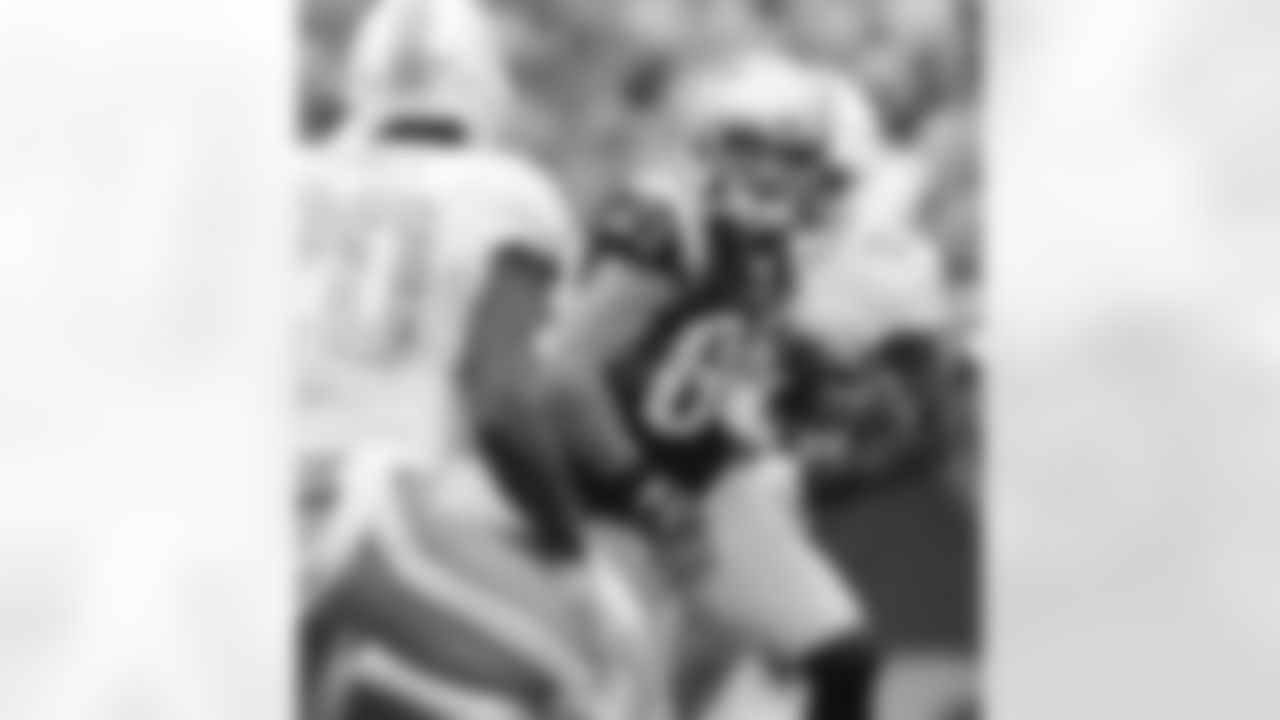 20160918_silverman_dolphins_best0321-watermarked.jpg