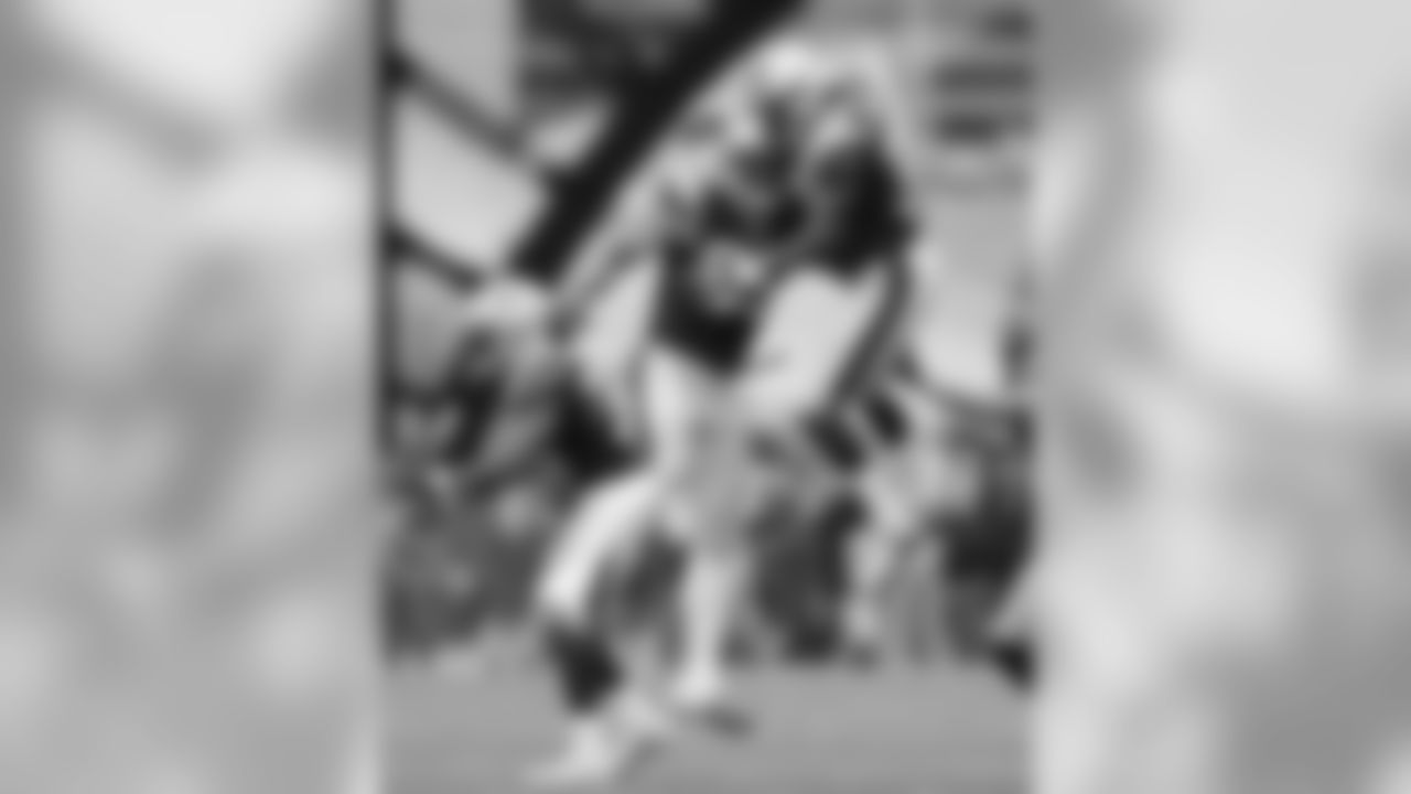 20160918_silverman_dolphins_best0322-watermarked.jpg