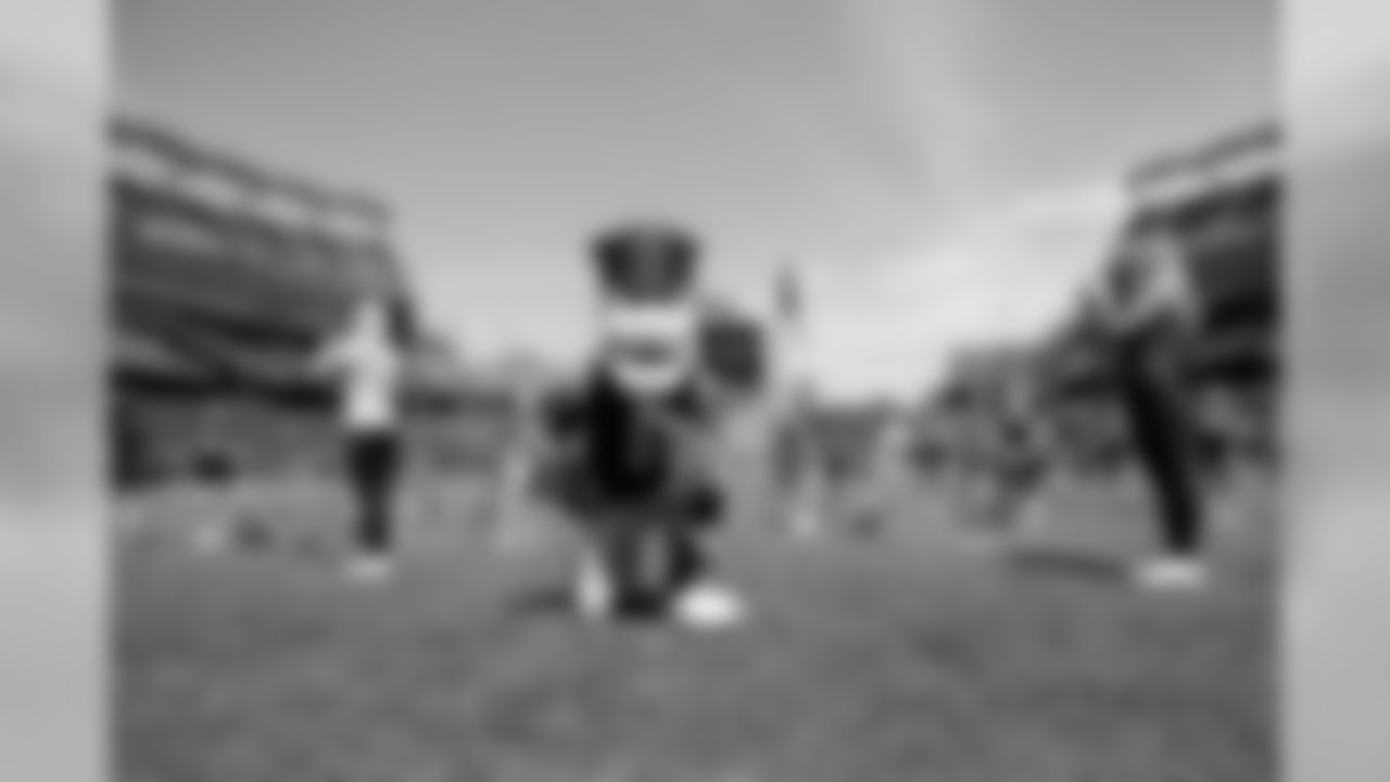 _41a7101_0.jpg