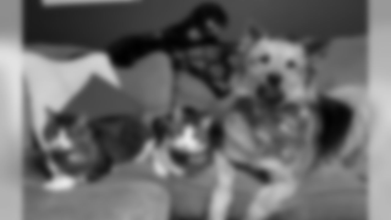 53270_8_2351801488.jpg