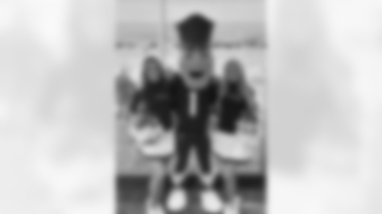 Image2-watermarked