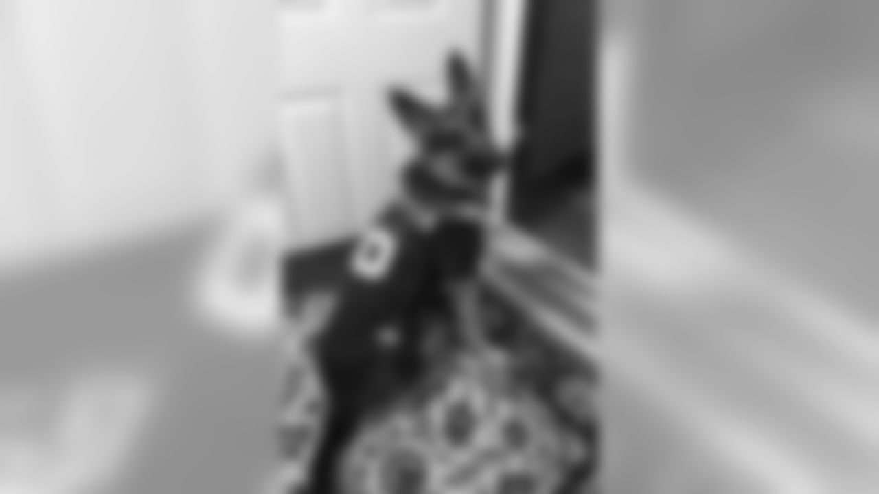 53270_8_449503272.jpg
