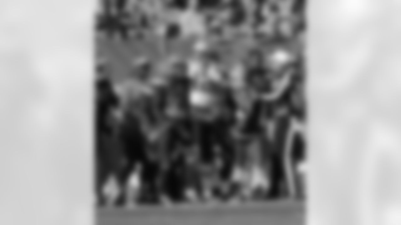 4-browns-ds-watermarked.jpg
