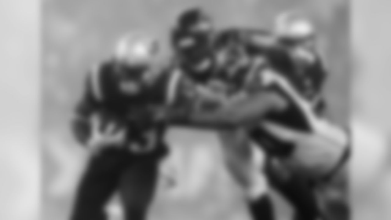 20171022_silvermansbest_falcons_watermarked18.jpg