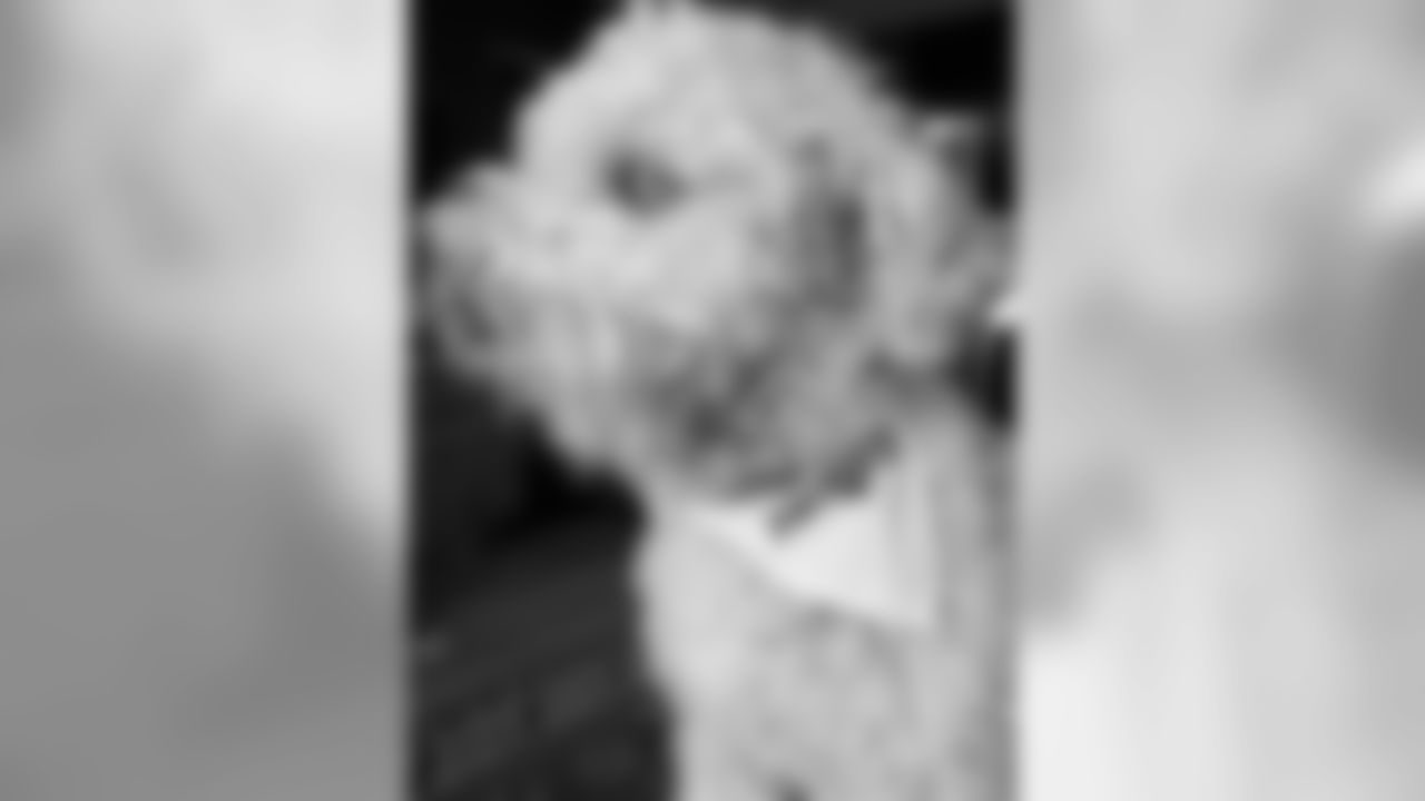 53270_8_4012231267