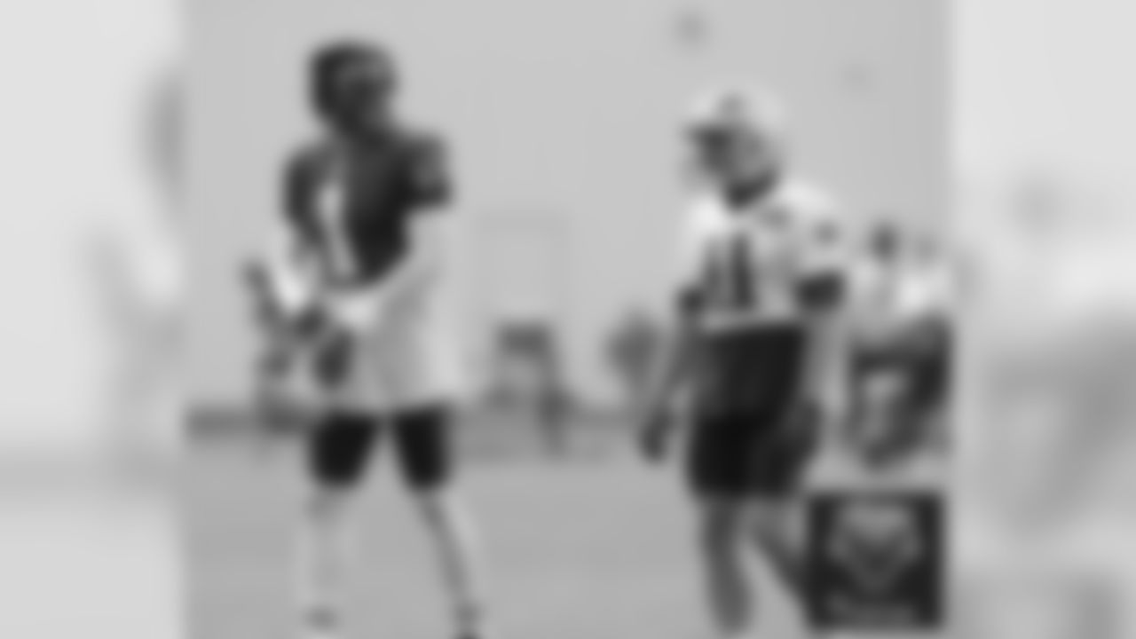 Cam Newton and Julian Edelman