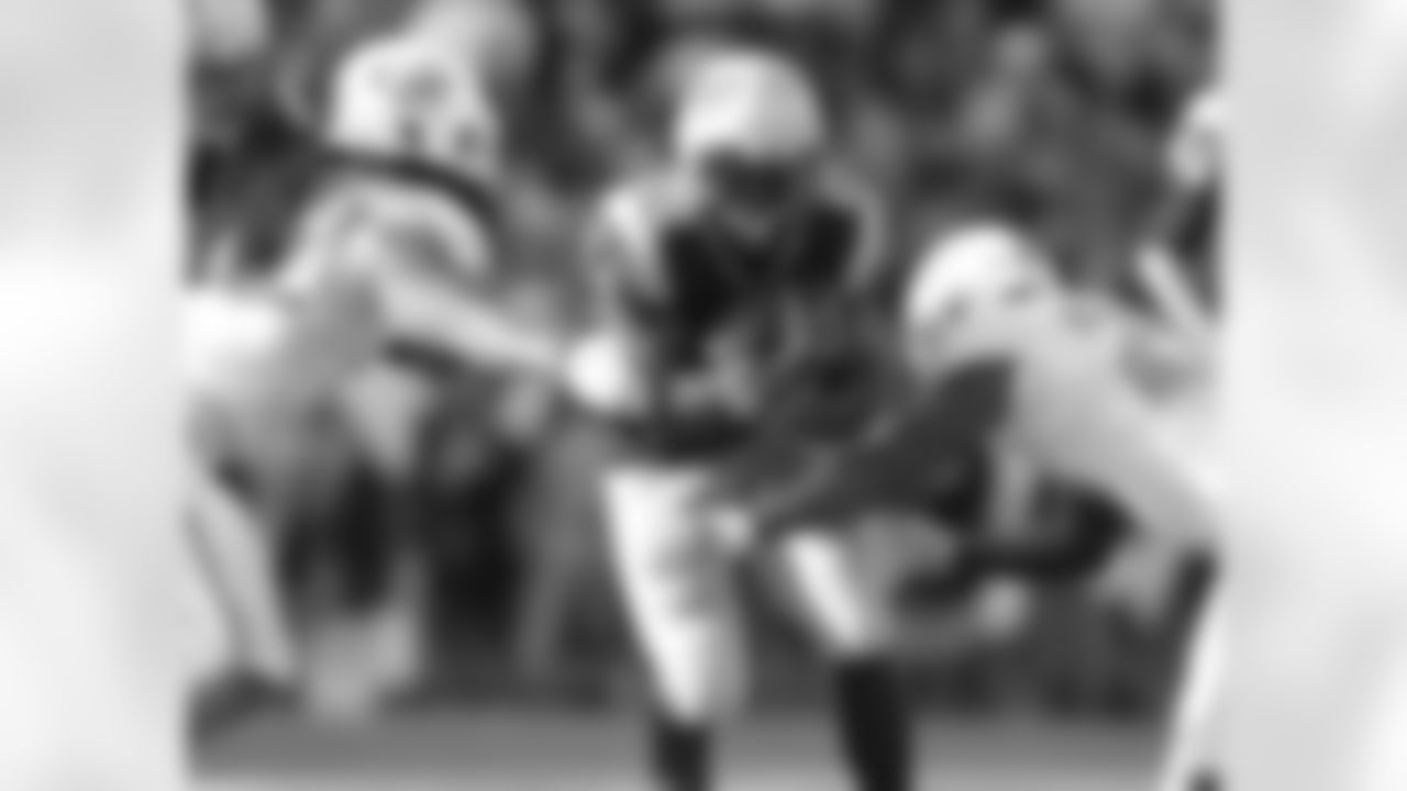 Stevan Ridley vs. Miami Dolphins