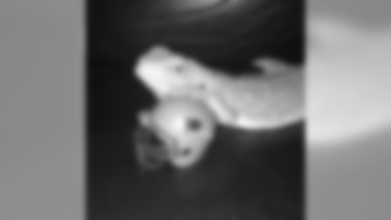 53270_8_659307420