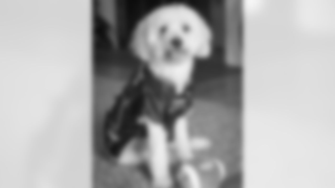20160930_pet_09.jpg