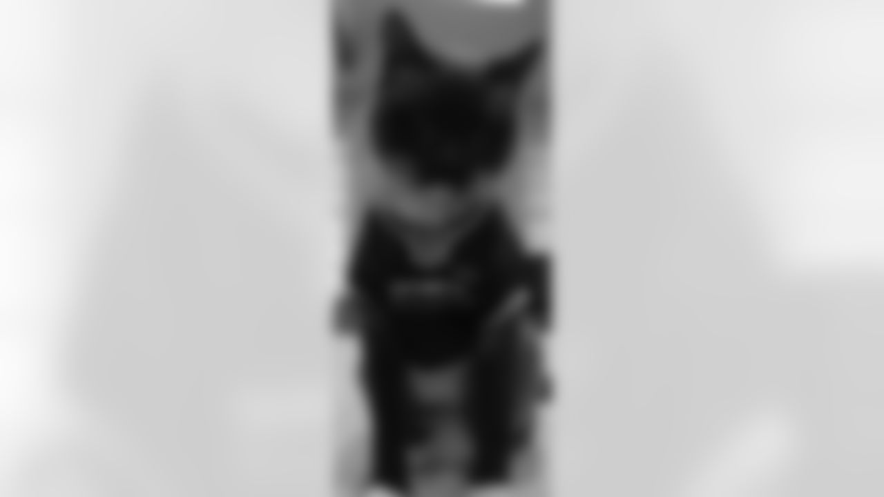 53270_8_3247464055.jpg