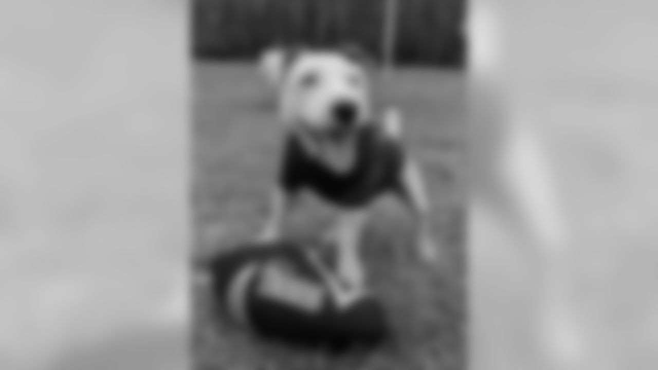 53270_8_3031918435