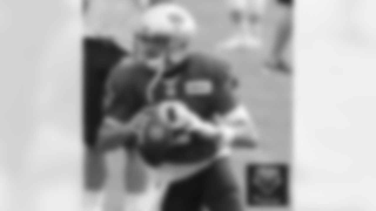 Brian Hoyer