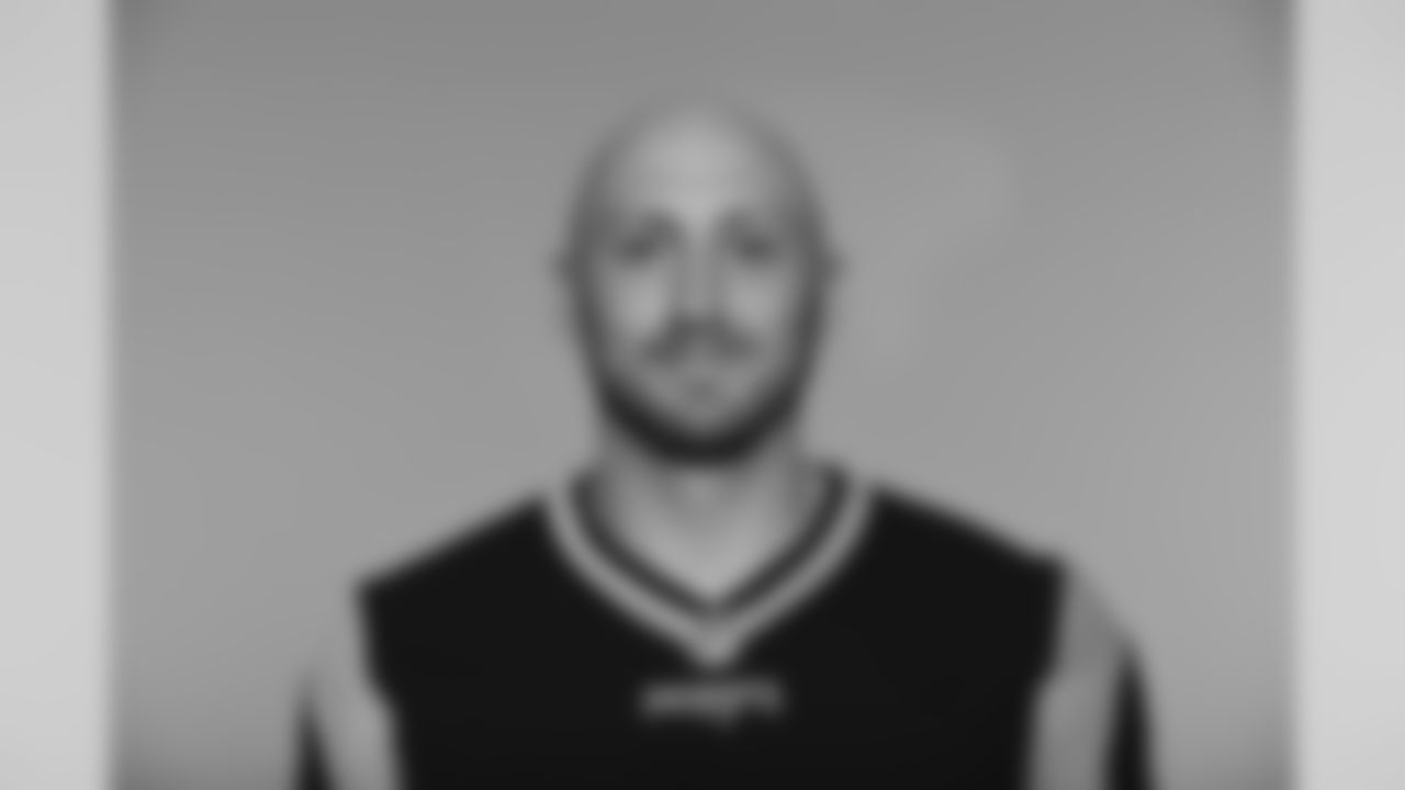 Brian Hoyer, QB